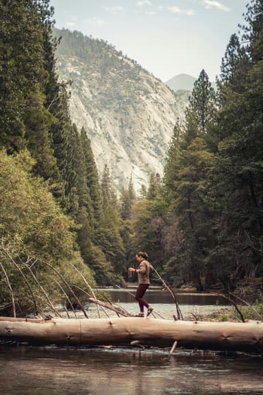 Sequoia and Kings Canyon National Parks