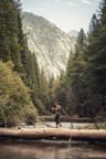 Sequoia and Kings Canyon National Parks