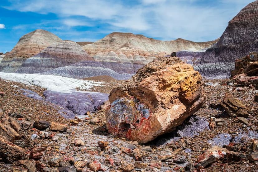 Featured Image - One Hour in Petrified Forest National Park