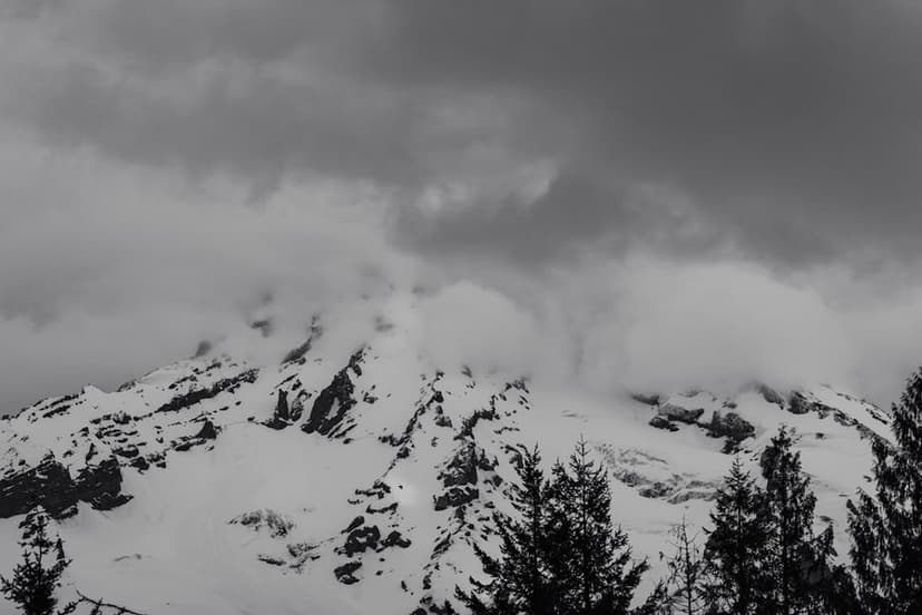 Featured Image - What to Do When Mount Rainier Is Clouded In, Crowded, or Road-Closed