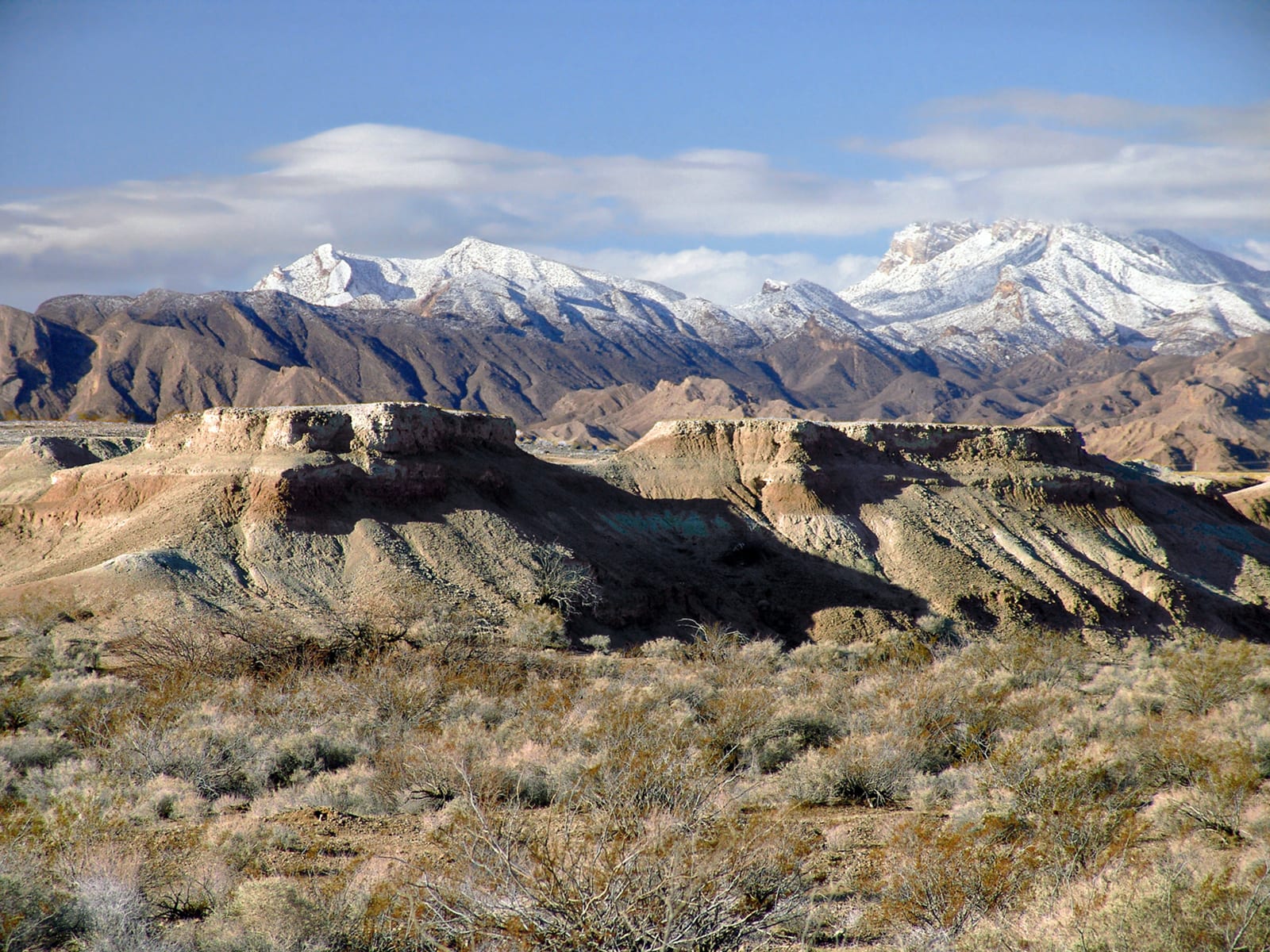 Tule Springs Fossil Beds