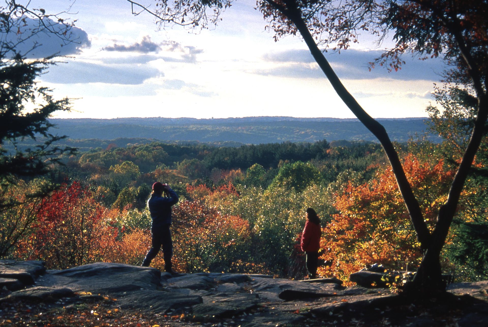 Two people overlooking the forest at Cuyahoga Valley on a fall day
