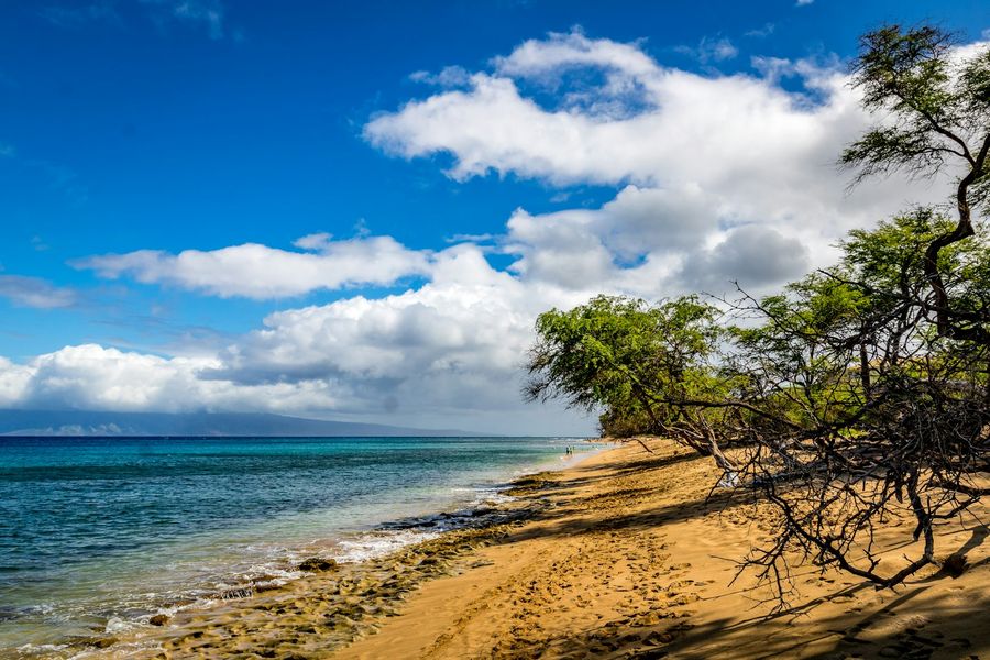 South Maui beaches