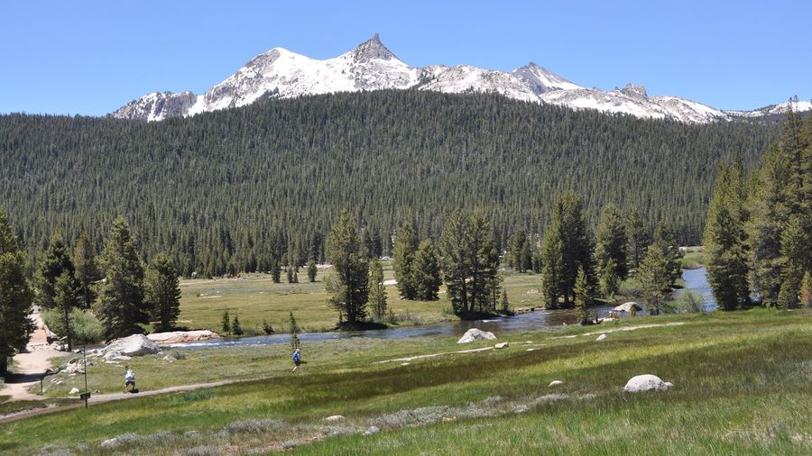 Tuolumne Meadows