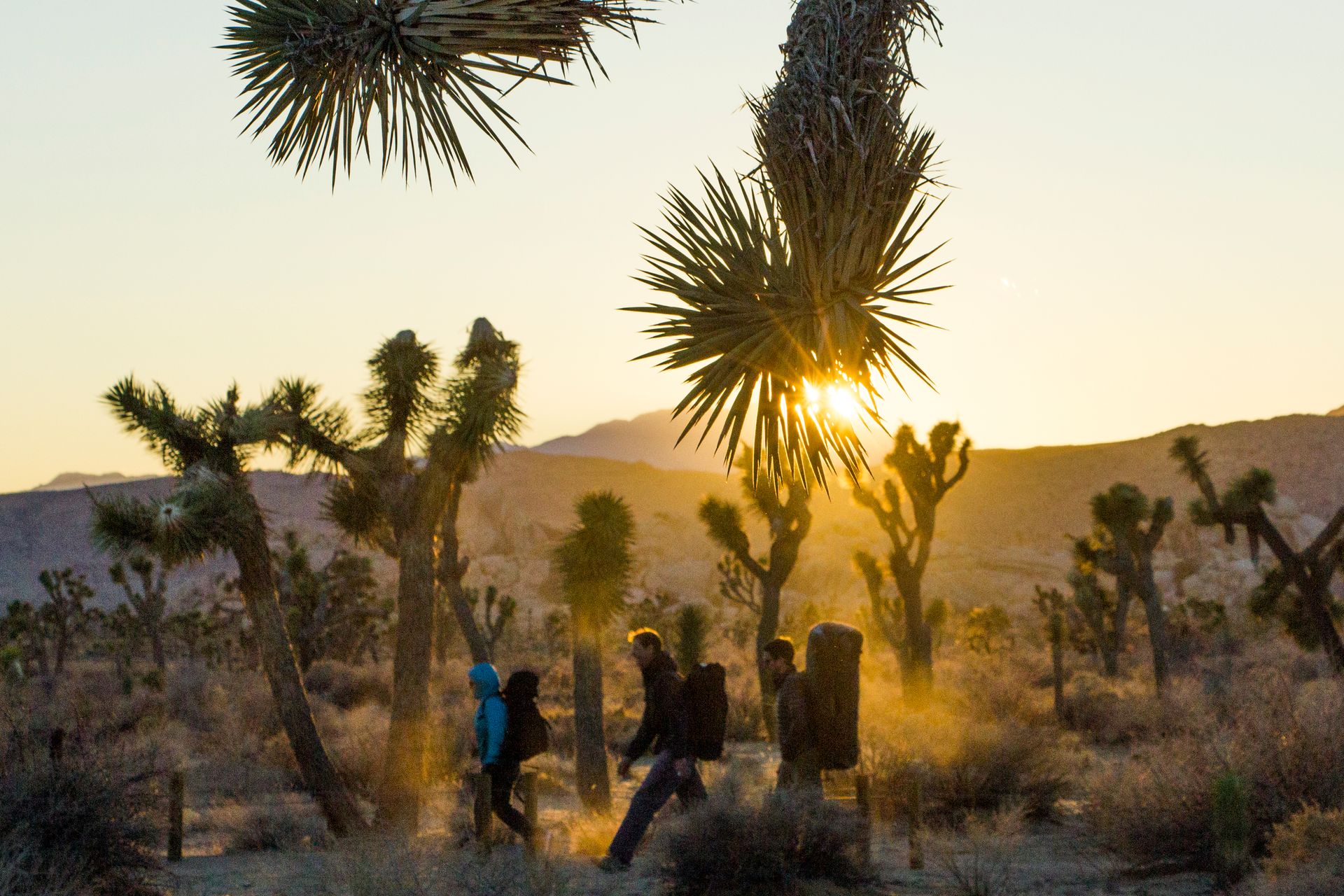 Climbers trekking home on the Barker Dam Trail at Joshua Tree National Park